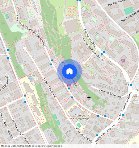 Chemin de Pierrefleur **, 1004, Lausanne