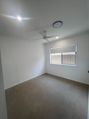 Brand New Contemporary Family Home - Photo 4