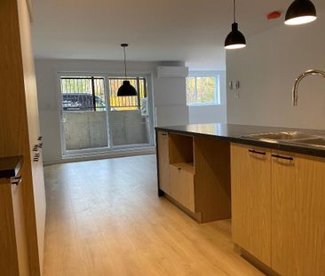 Logement 5 1/2 - Ascenseur - Mars 2026 - Photo 4