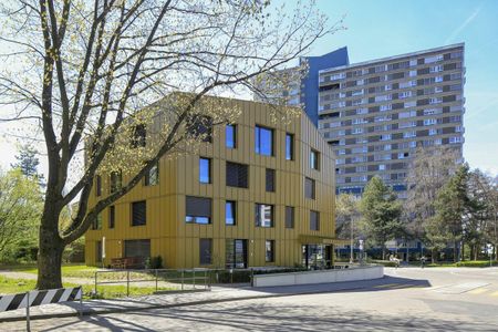 1 Zimmer Wohnung - Photo 4