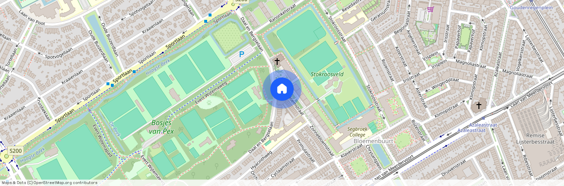 Daal en Bergselaan 56-B, Bloemenbuurt-West, 2565AG, Den Haag