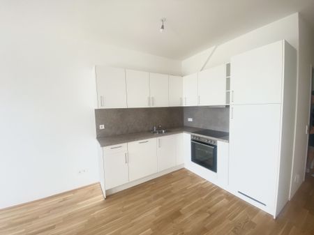 MIETANBOT LIEGT VOR U3 I ERSTBEZUG Top Dachwohnung 2 Zimmer + Terrasse =DAS LAURENZ= 1 bedroom apartment+terrace - Photo 2