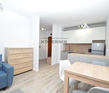 Toruń, Jar, Toruń - Фото 5