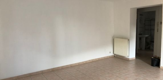 APPARTEMENT A LOUER VIVIERS 2 PIECES 49 M² - Photo 2