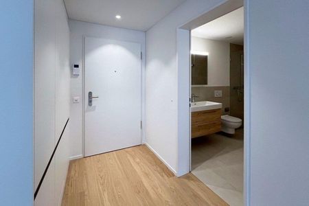 New, modern 2.5-room apartment, 6410 Goldau First rental - Photo 3