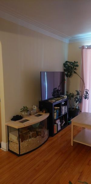 3 1/2 à Louer - électros Inclus - Photo 1