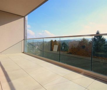 3 Bedroom Apartment To Let - Photo 4