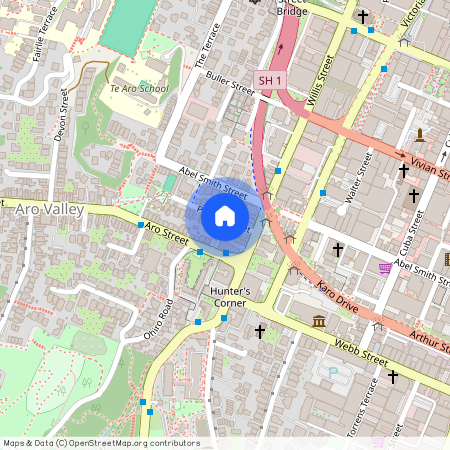 19 Palmer Street, Aro Valley, Wellington City