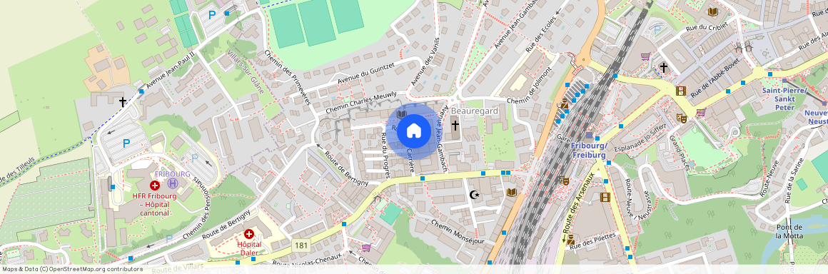 Rue de la Carrière 6, 1700, Fribourg