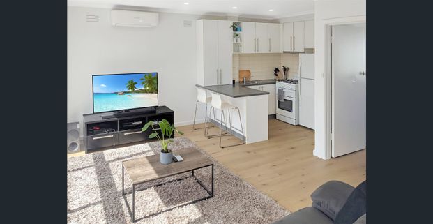 Sunfilled one bedroom apartment - Photo 1