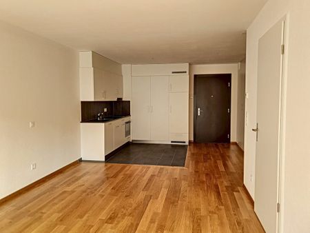 Logement « Protégé » de 2.5 pièces au rez-inférieur - Foto 5