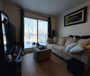 Appartement 3 ½ à louer Beauport juillet 2026 - Photo 3