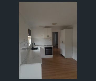 Fully Renovated 3 Bedroom House - Photo 2