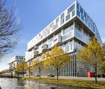 Stor solrig terrasse · delvist møbleret · 2 toiletter · Tæt på Kalv... - Foto 2