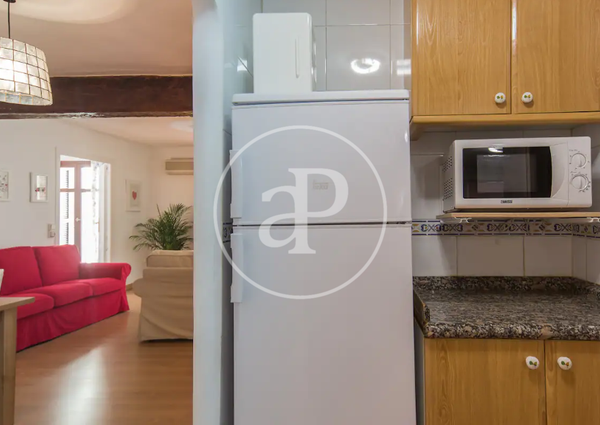 Flat for rent with Terrace in El Carme (Valencia)