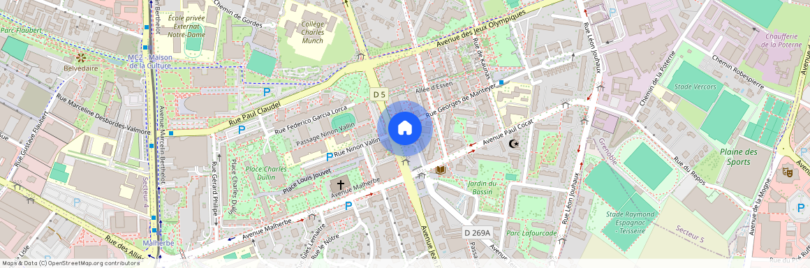 55 Rue Georges De Manteyer, Grenoble