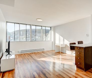 IMMEUBLE PROFESSIONEL - PLATEAU / CENTRE-VILLE/ PARC DU MONT-ROYAL - Photo 1