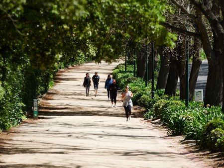 5/27 Rockley Road, South Yarra VIC 3141 - Apartment For Rent | Domain - Photo 4