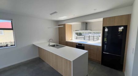 Brand new 3 bedroom in Vogeltown - Photo 3