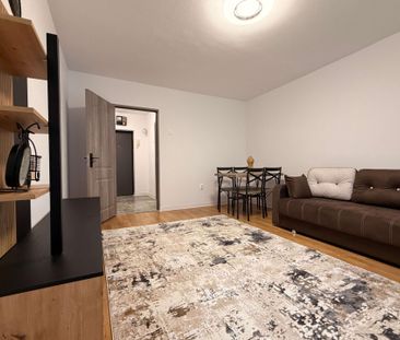 Apartament 2 camere - complet renovat – Strada Timiș 4 - parter - Photo 4