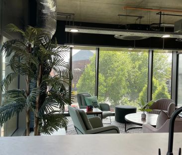 Classic Plus - Photo 6