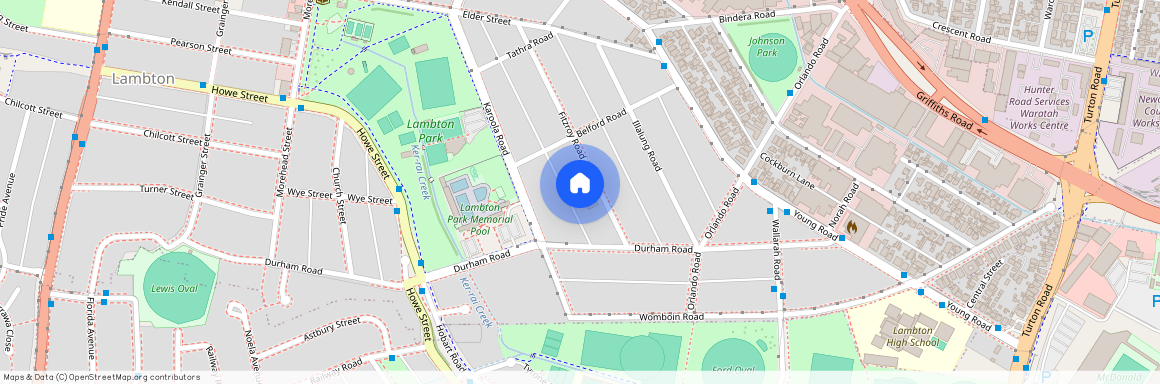 19 Fitzroy Road, NSW 2299, Lambton