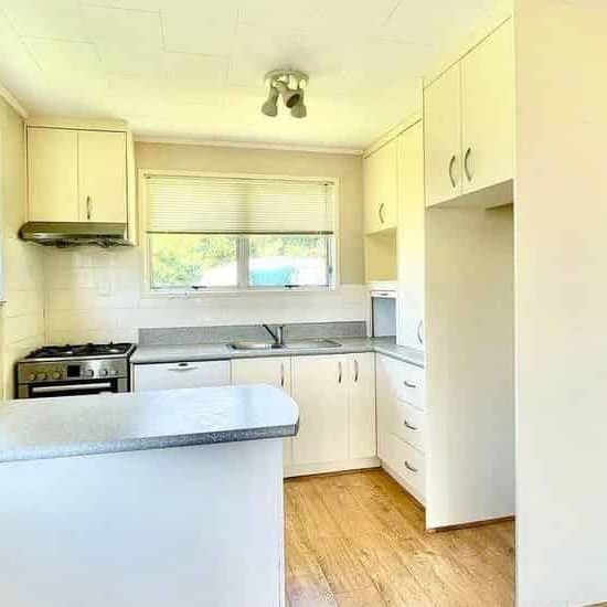 Sunny, pet-friendly and available now! - Photo 1