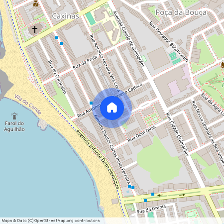 Antonio Ferreira, Porto