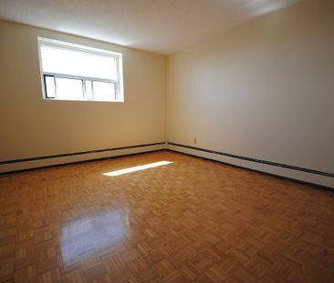 335 MacLaren Street, Centretown, Ottawa, ON - Photo 6