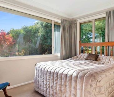 Spacious on Shelley - Photo 4