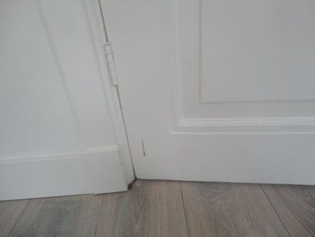 Te huur: Appartement Hofwijckplein in Den Haag - Foto 5