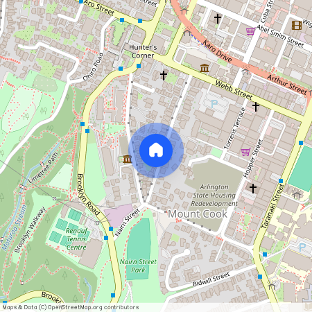 58 Thompson Street, Mount Cook, Wellington City