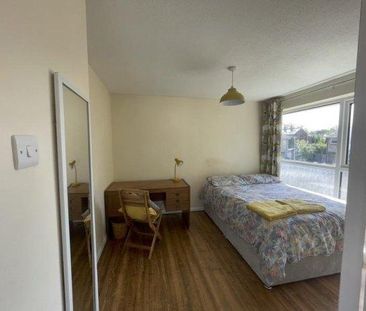 4 bedroom house share to rent - Photo 2