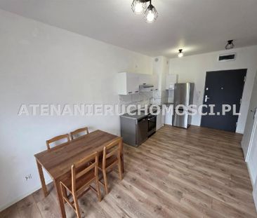 Mieszkanie Bydgoszcz Kapuściska powierzchnia 31.8 m² C265-WM-92259 - Photo 5