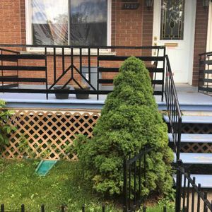 6 1/2, Rez-de-Chaussée Duplex avec sous-sol et jardin a Verdun - Photo 2