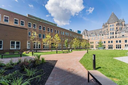 Rue St-Hubert, H2Y 0B9, Montréal - Photo 3