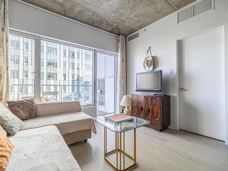 1150 Rue St Denis - Photo 5