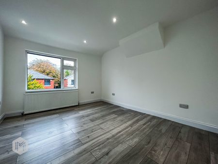 Fern Street - Photo 3