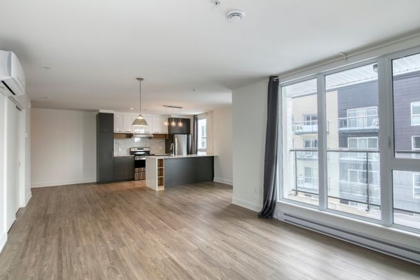 9675 Av. Papineau, app.402, H2B 3C8, H2B 3C8, Montréal - Photo 1