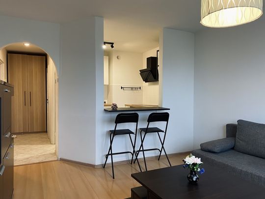 MIESZKANIE na WYNAJEM - Фото 1