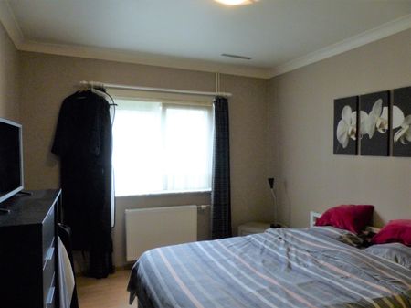 Gerenoveerde gelijkvl. woning met 1 slpk., tuin en garage. - Foto 3