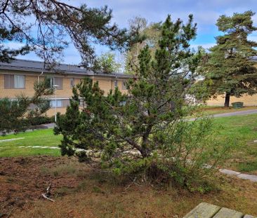 Trosalundsgatan - Photo 6