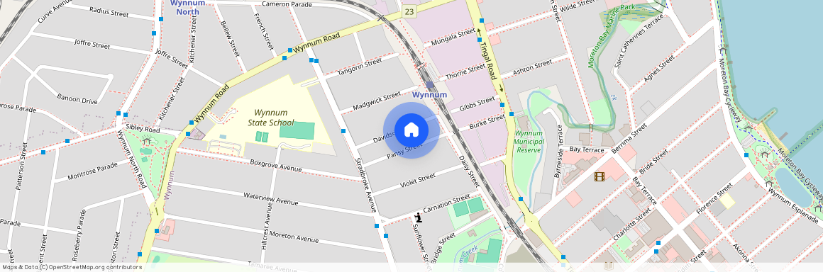 17 Pansy Street, Wynnum QLD 4178