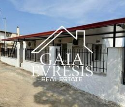 Μονοκατοικία για ενοικίαση - Σαλαμίνα, - Photo 1