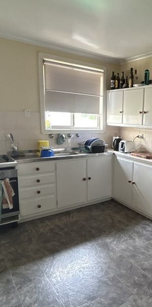 12 Belah Street - Photo 1