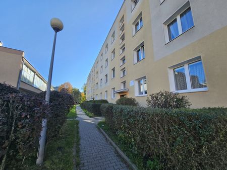 Słoneczna Kawalerka 33 m² z balkonem - Ursus - Photo 4