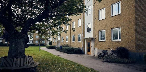 Planteringsvägen 11 D - Foto 2