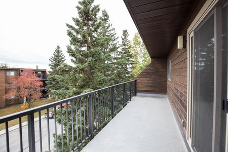 Bear Ridge Manor - Photo 5