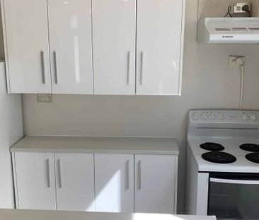 Charming 4BR Newtown Flat - Central WLG - Photo 2