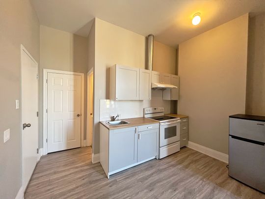 For Lease - 490 QUEEN Street Unit# 302, Toronto, Ontario - Photo 1